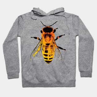 Honey Bee Bug Art Hoodie